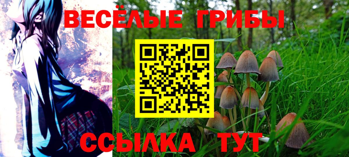 Галлюциногенные грибы мицелий Краснознаменск
