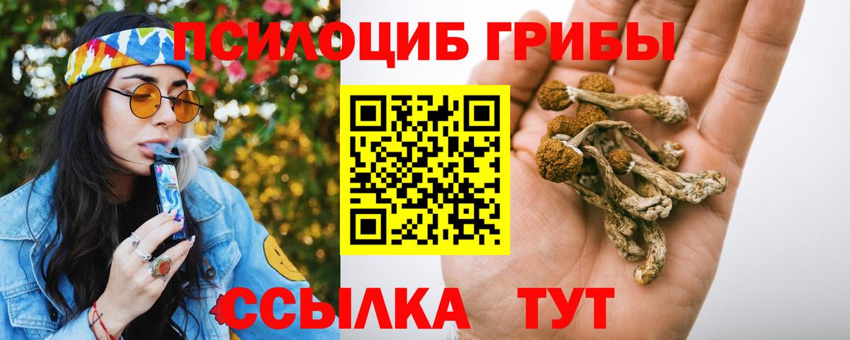 Краснознаменск  Псилоцибиновые грибы Magic Shrooms  Вход с VPN 